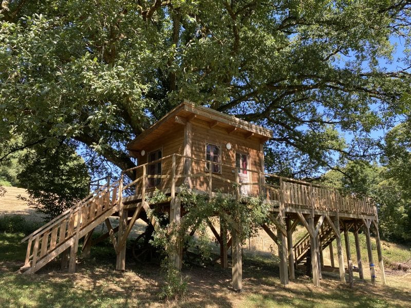 Cabane perchée dans un arbre, en bois, avec une terrasse entourée de verdure.