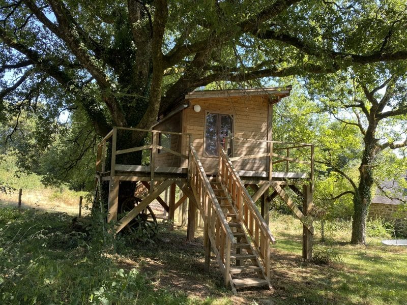 Cabane dans les arbres, perchée sur pilotis, entourée de verdure luxuriante.