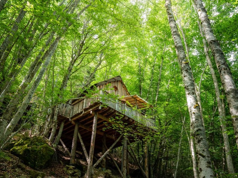 Cabane dans les arbres, perchée entre les feuillages verdoyants dune forêt.