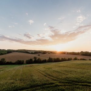 Coucher de soleil sur un champ verdoyant, idéal pour un séjour en cabane dans les arbres.