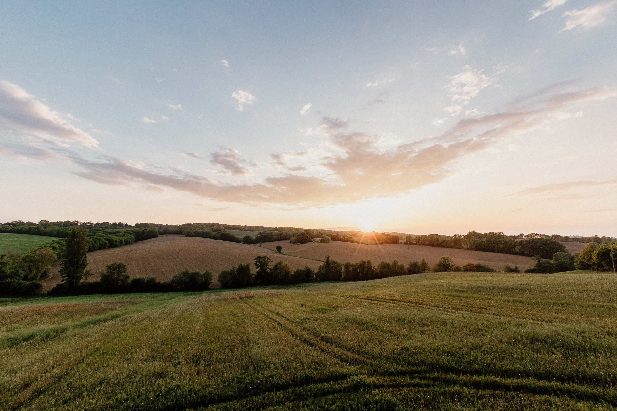Coucher de soleil sur un champ verdoyant, idéal pour un séjour en cabane dans les arbres.