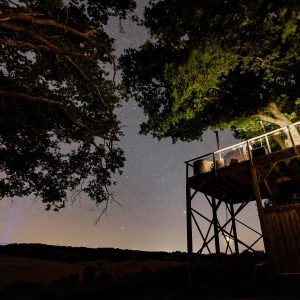 Cabane perchée dans les arbres, illuminée sous un ciel étoilé, entourée de verdure.
