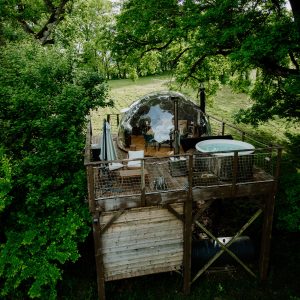 Dôme transparent perché dans les arbres, avec jacuzzi et vue sur la nature environnante.
