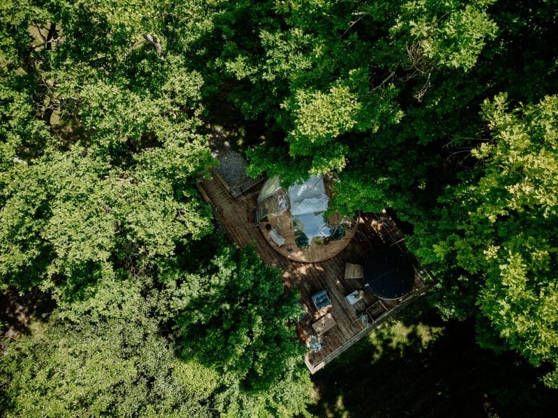 Cabane dans les arbres entourée de verdure, avec terrasse en bois et jacuzzi.
