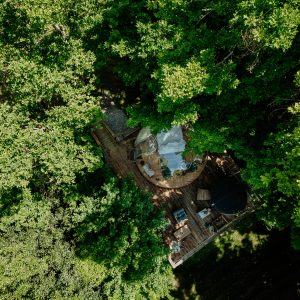 Cabane perchée dans les arbres, entourée de verdure, avec terrasse en bois et spa.