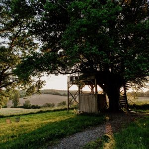 Cabane perchée dans un arbre, entourée de verdure, offrant une vue panoramique sur la campagne.
