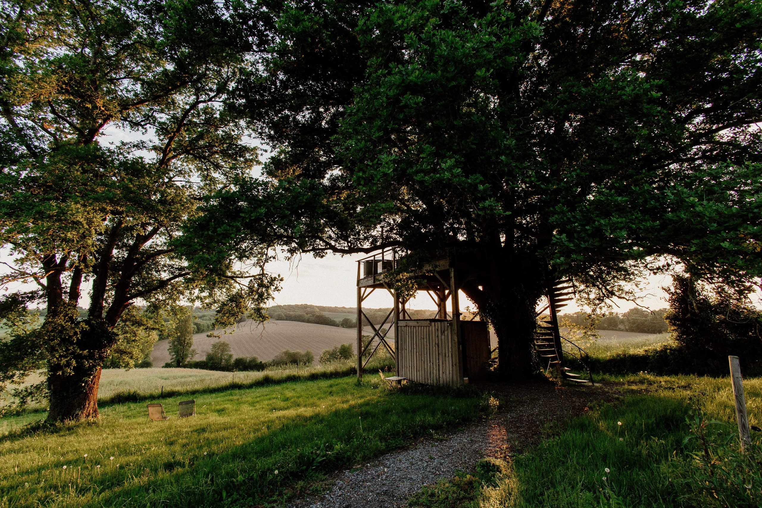 Cabane perchée dans un arbre, entourée de verdure, offrant une vue panoramique sur la campagne.
