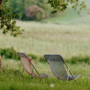 Chaises longues en toile sous un arbre, offrant une vue paisible sur la nature environnante.