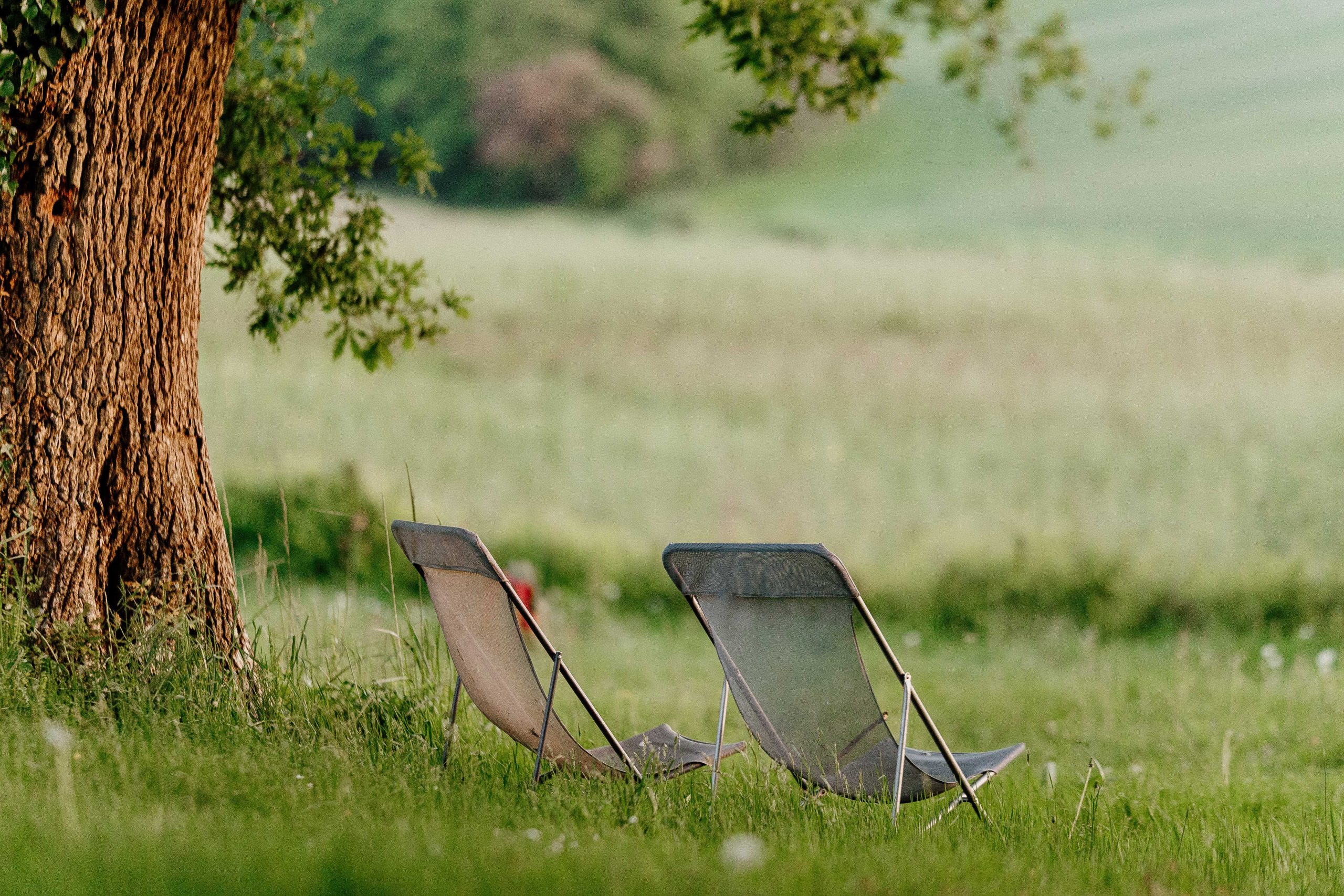 Chaises longues en toile sous un arbre, offrant une vue paisible sur la nature environnante.