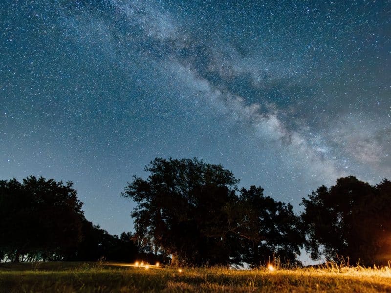 Ciel étoilé au-dessus dun camping, illuminé par des lanternes et entouré darbres.