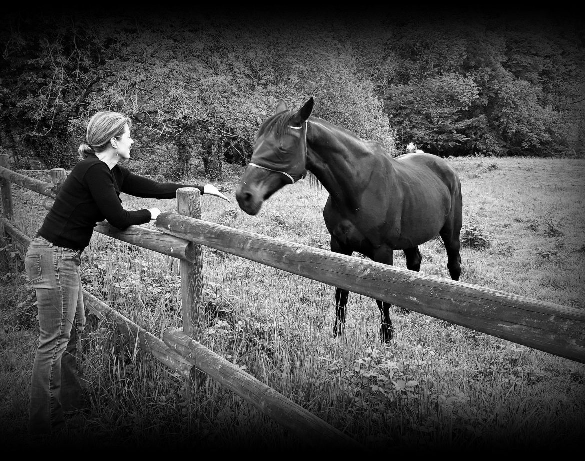 Séjour insolite en pleine nature, avec un cheval noir et une ambiance paisible.