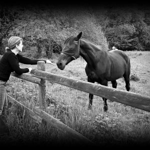 Séjour insolite en pleine nature, avec un cheval noir et une ambiance paisible.