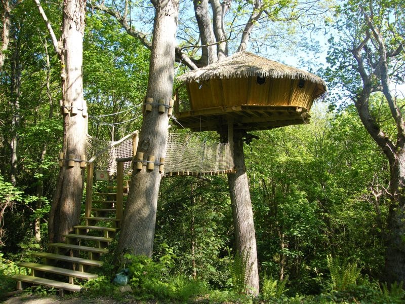 Cabane dans les arbres avec toit en chaume, entourée de verdure luxuriante.