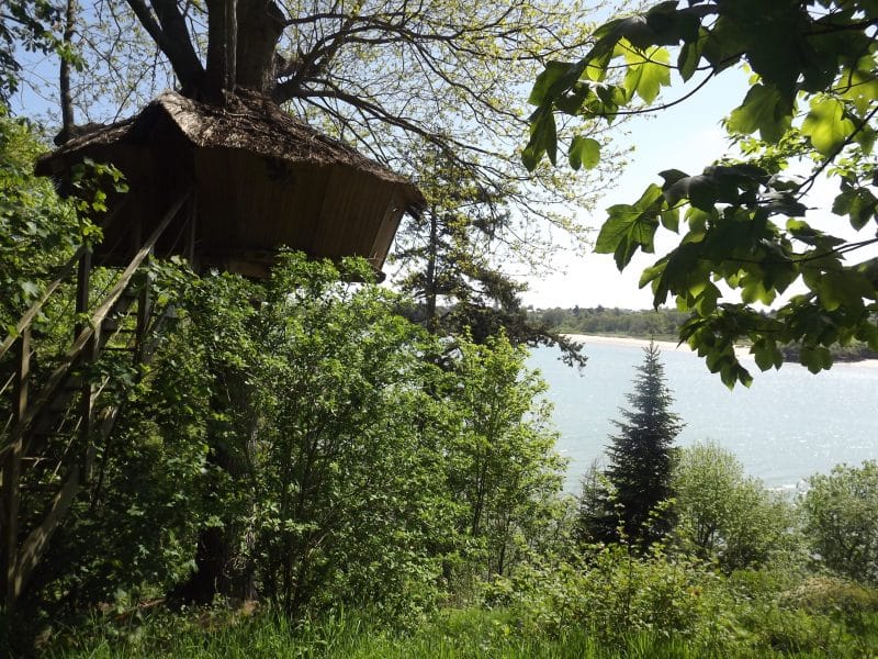 Cabane dans les arbres entourée de verdure, vue sur le lac paisible.