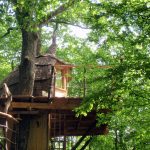 Cabanes du Bois Clair