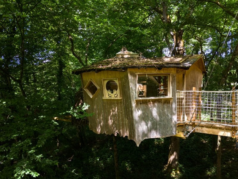 Cabane perchée dans les arbres, entourée de verdure luxuriante et de lumière naturelle.