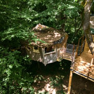 Cabane perchée dans les arbres, entourée de verdure, avec un toit végétal et une terrasse en bois.