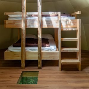 Cabane insolite avec lits superposés en bois et un accès au sol en verre pour admirer la nature.