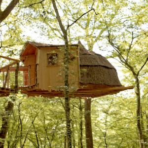 Cabane perchée dans les arbres, en bois naturel, entourée d'une verdure luxuriante.