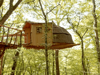 Cabane perchée dans les arbres, en bois naturel, entourée d'une verdure luxuriante.