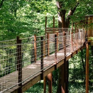 Cabane dans les arbres, accessible par un pont suspendu, entourée d'une verdure luxuriante.