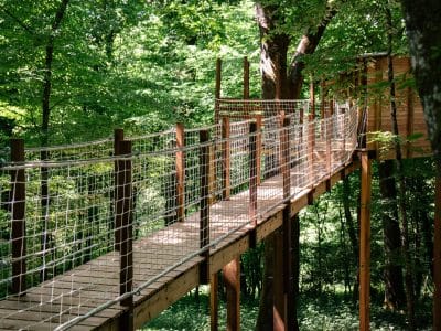 Cabane dans les arbres, accessible par un pont suspendu, entourée d'une verdure luxuriante.