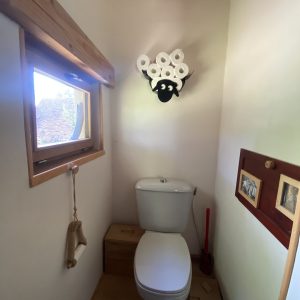 Toilettes insolites avec un décor original, incluant un porte-papier en forme de mouton.