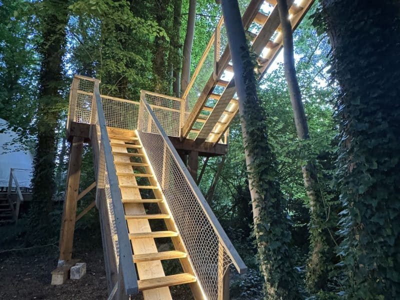 Escalier lumineux menant à une cabane dans les arbres, entourée de verdure.