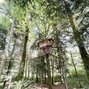 Cabane perchée dans les arbres, entourée d'une forêt verdoyante et lumineuse.