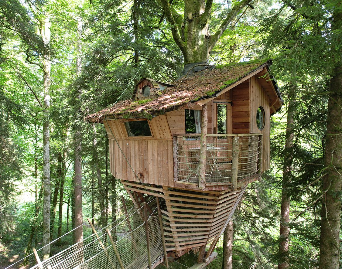 Cabane perchée dans les arbres, en bois, avec balcon et vue sur la forêt verdoyante.