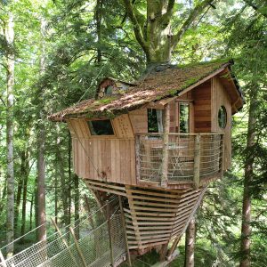 Cabane perchée dans les arbres, en bois, avec balcon et vue sur la forêt verdoyante.