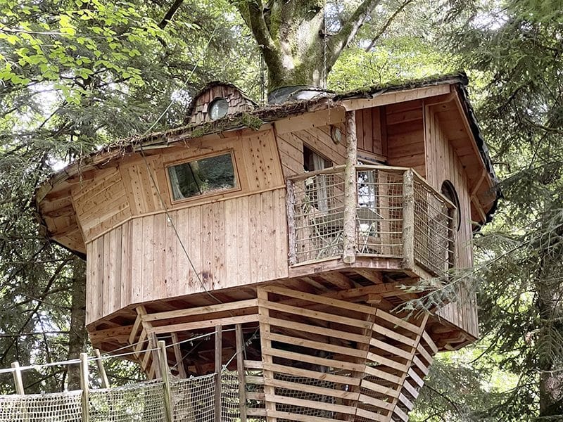 Cabane dans les arbres en bois, perchée au milieu des feuillages verdoyants.