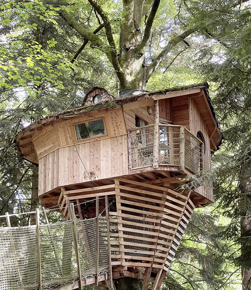 Cabane dans les arbres en bois, perchée au milieu des feuillages verdoyants.