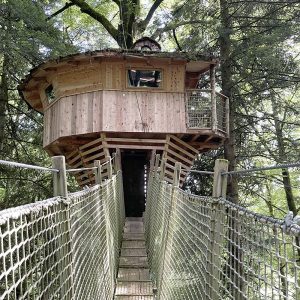 Cabane dans les arbres en bois, perchée au milieu des feuillages, accessible par un pont suspendu.