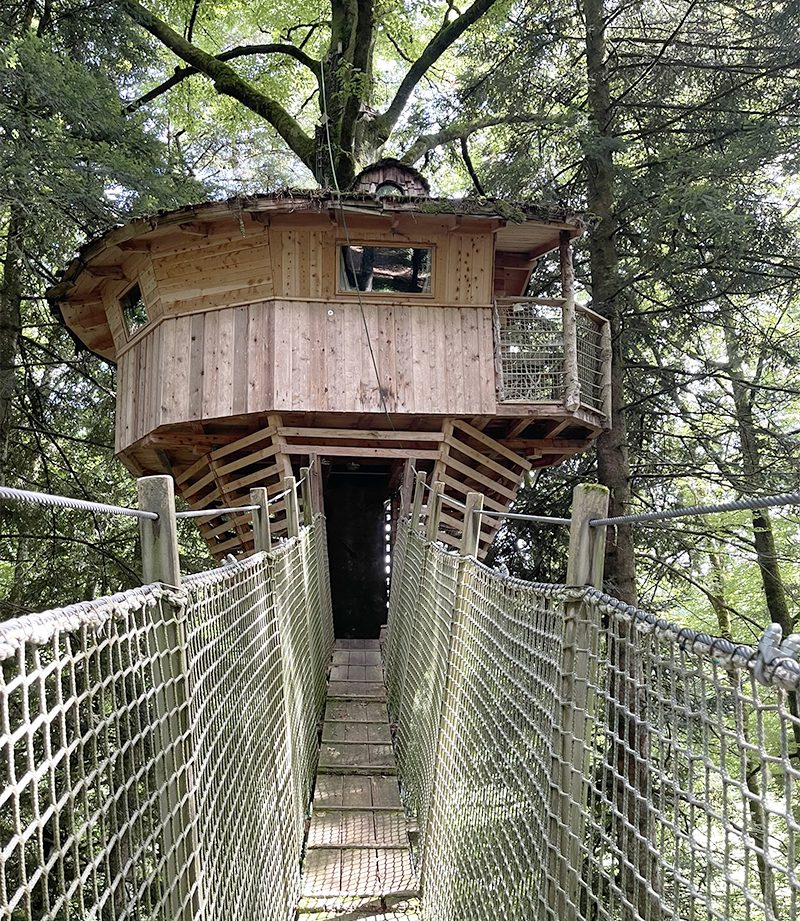 Cabane dans les arbres en bois, perchée au milieu des feuillages, accessible par un pont suspendu.
