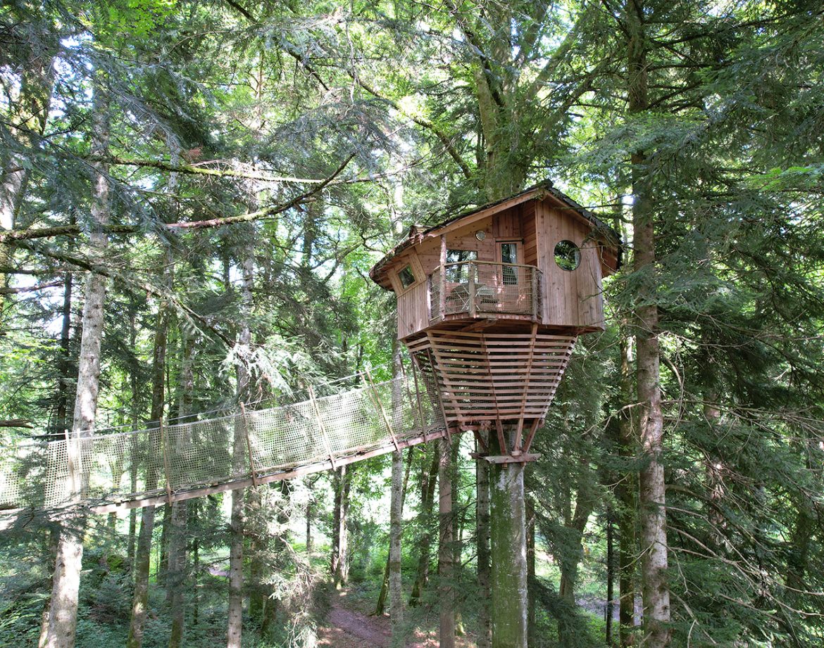 Cabane perchée dans les arbres, en bois, entourée d'une forêt verdoyante et apaisante.