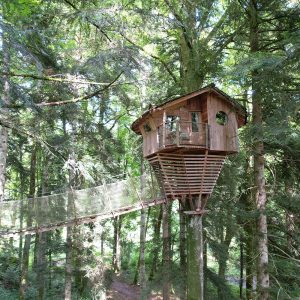 Cabane perchée dans les arbres, en bois, entourée d'une forêt verdoyante et apaisante.