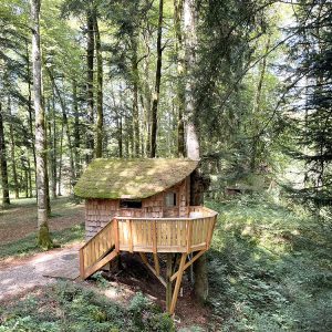 Cabane perchée en bois, entourée d'arbres, avec une terrasse en bois surélevée.