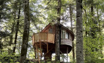 Cabane La Fougère – Domaine de Syam