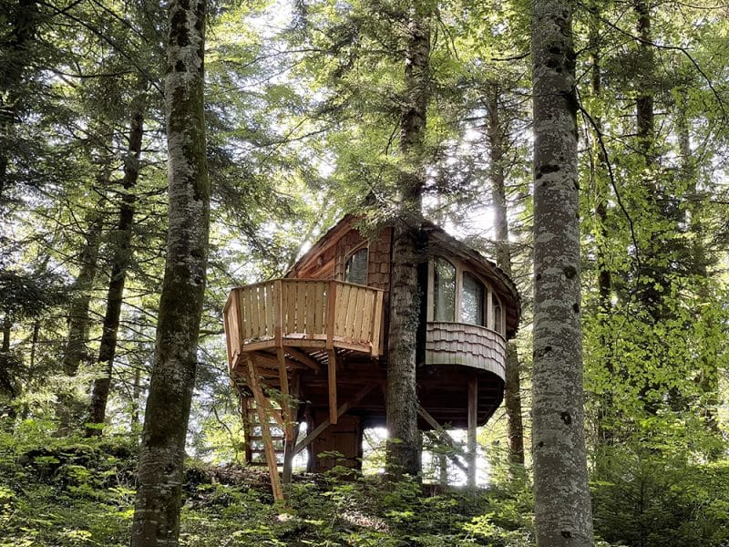Cabane perchée dans les arbres, entourée de verdure, offrant une vue imprenable sur la forêt.