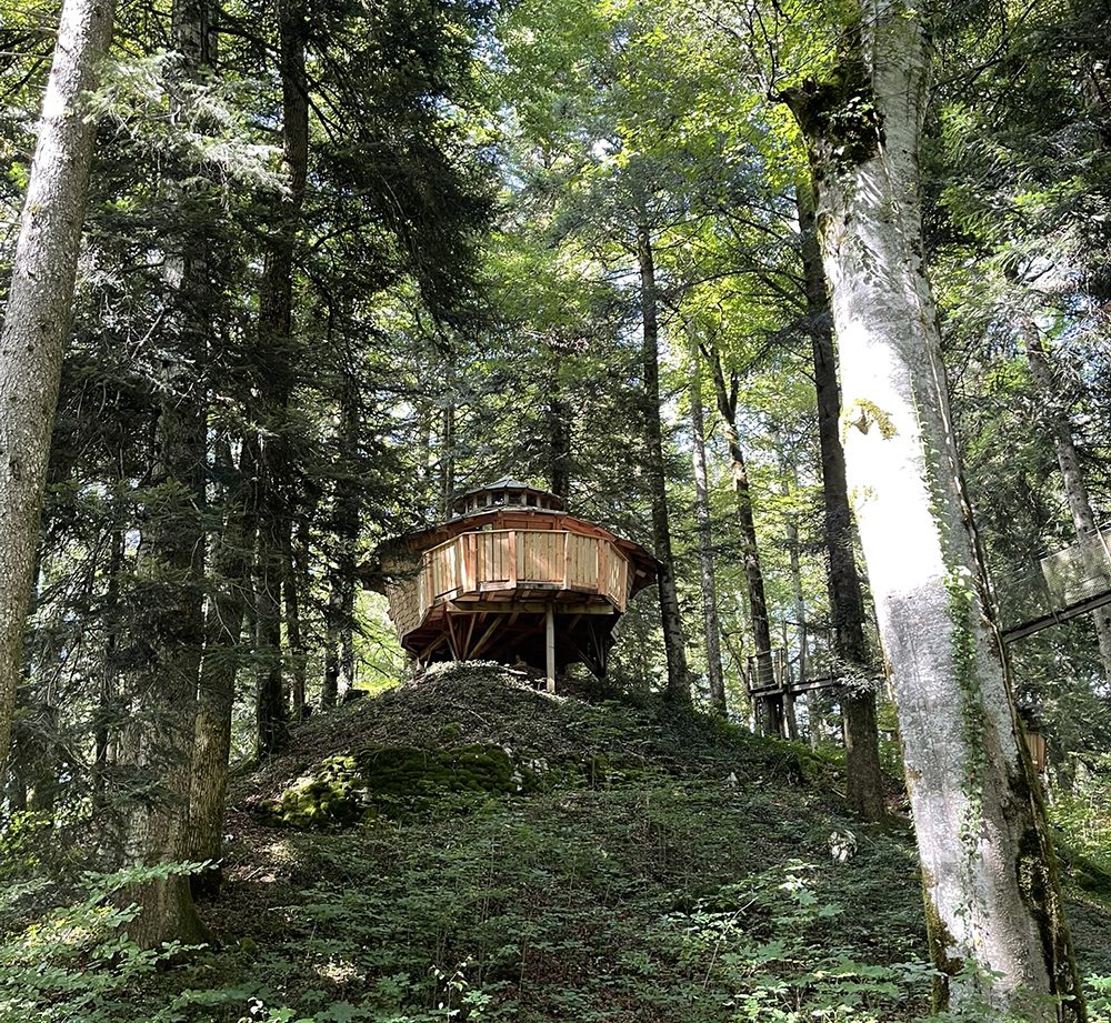Cabane perchée en bois sur un monticule, entourée d'une forêt verdoyante.