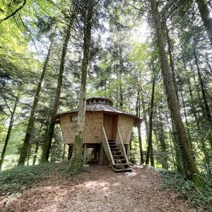 Cabane en bois perchée dans les arbres, entourée d'une forêt verdoyante et lumineuse.