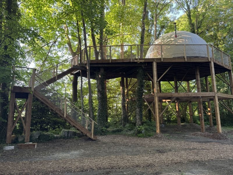 Dôme en bois sur pilotis, entouré darbres, offrant une vue imprenable sur la nature.