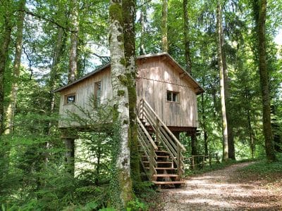 Cabane dans les arbres en bois, perchée au milieu d'une forêt verdoyante. Escalier en bois.