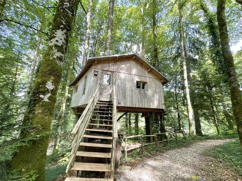 Cabane perchée dans les arbres, en bois, entourée d'une forêt verdoyante. Escalier en bois.