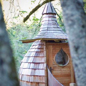 Cabane en bois avec toit en bardeaux, nichée entre les arbres.