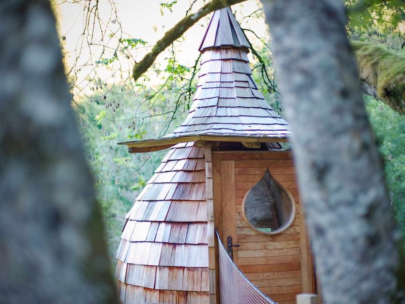 Cabane en bois avec toit en bardeaux, nichée entre les arbres.