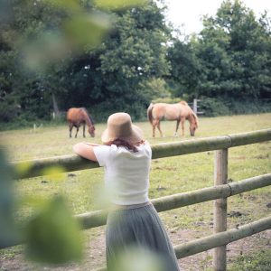 Chambre dhôtes avec vue sur un pré et des chevaux paisibles.