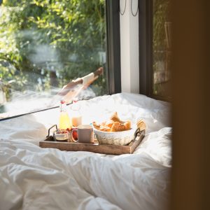 Chalet cosy avec petit-déjeuner sur un plateau, vue sur la nature verdoyante.