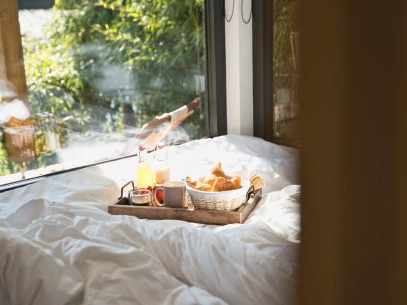 Chalet cosy avec petit-déjeuner sur un plateau, vue sur la nature verdoyante.